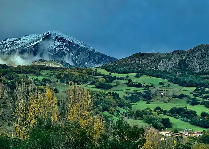 Rurales & La Barcena Country house *