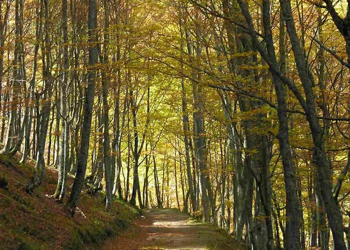 Venkovský dům Rurales & La Barcena Enterria